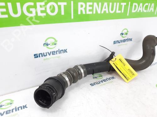 Andere RENAULT KANGOO Express (FW0/1_) 1.5 dCi 90 (FW0G, FW05, FW08, FW11) | BP16099262O1 