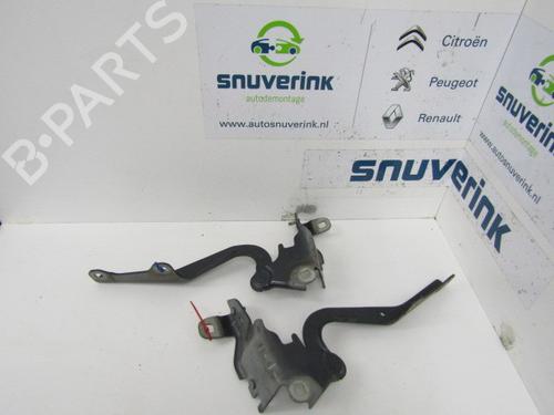 Used Hinge/Door check strap RENAULT LAGUNA III Grandtour (KT0/1) 1.5 dCi (KT0A, KT0R, KT02) (110 hp) 13189805
