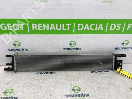 Intercooler DACIA DUSTER (P1310) 1.2 TCe 130 (131 hp) 26488925