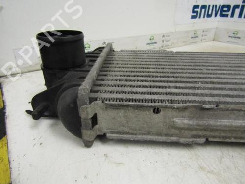 Intercooler NISSAN PRIMASTAR Bus (X83) dCi 100 | BP40563787M30 - Image 4