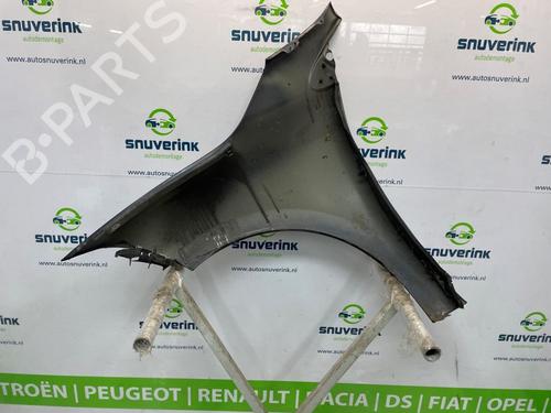 Right front fenders RENAULT MEGANE III Grandtour (KZ0/1) 1.4 TCe (KZ0F, KZ1V) | BP26665502C42