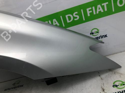 Right front fenders RENAULT LAGUNA III (BT0/1) 2.0 dCi (BT01, BT08, BT09, BT0E, BT0K, BT12, BT1C, BT1D,... | BP17982290C42 