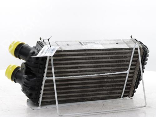 Intercooler PEUGEOT 2008 II (UD_, US_, UY_, UJ_, UR_, UC_) 1.2 PureTech 130 (USHNS, URHNS) | BP31960834M30 
