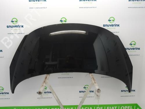 Used Hood PEUGEOT 207 SW (WK_) 1.4 16V (95 hp) 10801279