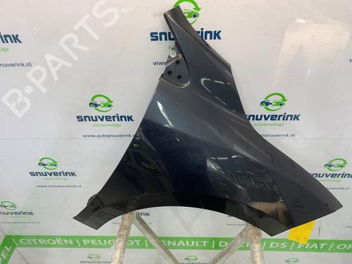 Left front fenders RENAULT MEGANE III Grandtour (KZ0/1) 1.5 dCi (KZ09, KZ0D, KZ1G, KZ29, KZ14, KZ1W, KZ10, KZ1F,... | BP26665660C41 