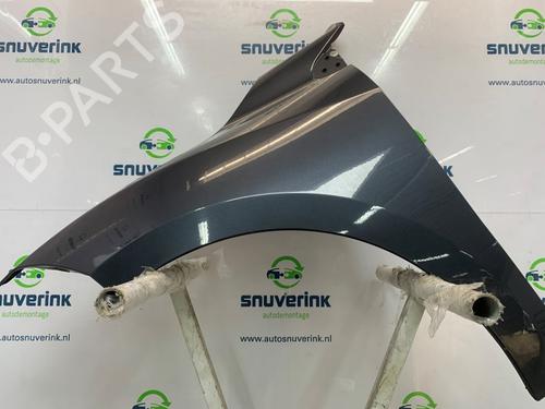 Right front fenders RENAULT MEGANE III Grandtour (KZ0/1) 1.5 dCi (KZ09, KZ0D, KZ1G, KZ29, KZ14, KZ1W, KZ10, KZ1F,... | BP26665661C42 