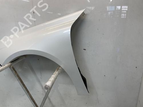 Left front fenders PEUGEOT 508 II (FB_, FH_, F3_) 2.0 BlueHDI 180 (FHEHZR, FHEHZN) | BP30186346C41 