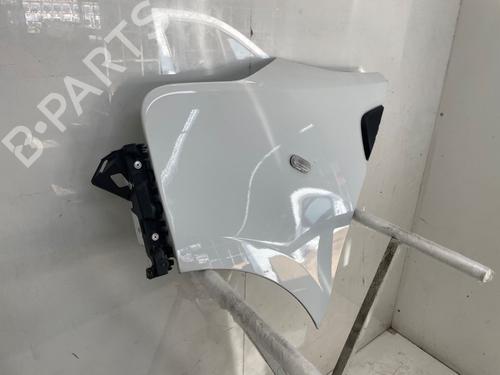 Left front fenders RENAULT TRAFIC III Van (FG_) 2.0 dCi 120 (FGMN) | BP29426812C41 