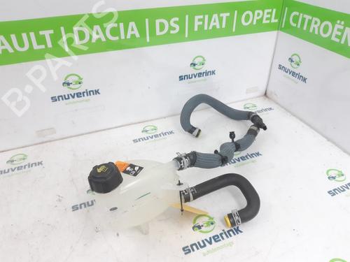 Used Auxiliary water pump RENAULT AUSTRAL E-TECH 200 Hybrid (HGM2) (199 hp) 24841182