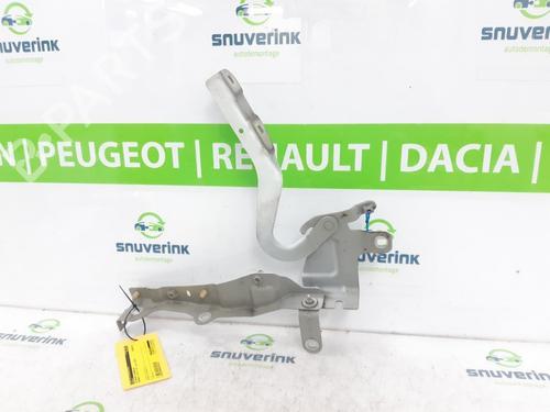 Dørhængsel/Dørbegrænser RENAULT CLIO IV (BH_) 0.9 TCe 90 (BHNF, BHMA, BHMH, BHJK, BHJR) (90 hp) 13195682