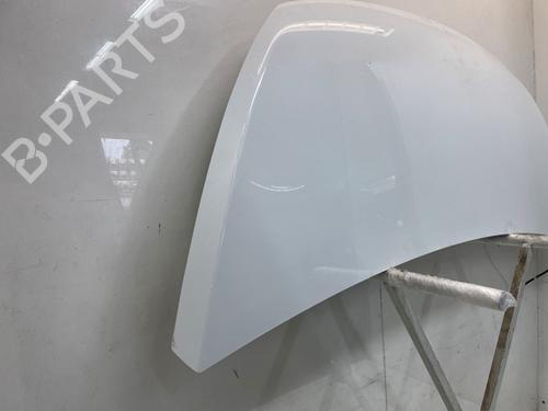 Hood FIAT TALENTO Van (296_) 2.0 EcoJet | BP29899544C1