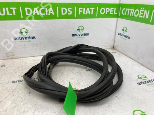 Used Rubber door seal OPEL MOVANO B Van (X62) 2.3 CDTI FWD (FV) (150 hp) 26279708