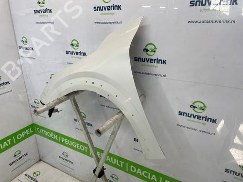 Left front fenders PEUGEOT 208 II (UB_, UP_, UW_, UJ_) e-208 | BP26202565C41 
