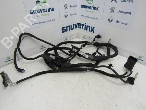 Used Wiring harness PEUGEOT 2008 I (CU_) 1.6 HDi (114 hp) 24162327