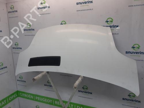 Hood OPEL VIVARO A Van (X83) 1.9 DTI (F7) | BP15795620C1