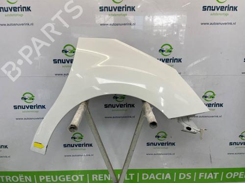 Used Right front fenders CITROËN C3 II (SC_) 1.6 HDi (92 hp) 27093374
