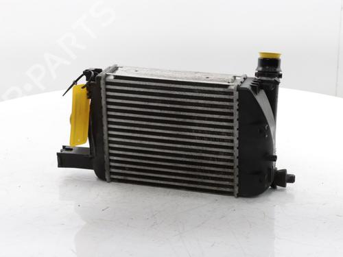 Intercooler DACIA DUSTER (HM_) 1.3 TCe 130 (HMMF) | BP29426282M30 