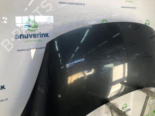 Hood RENAULT SCÉNIC III (JZ0/1_) 1.5 dCi | BP24841344C1 