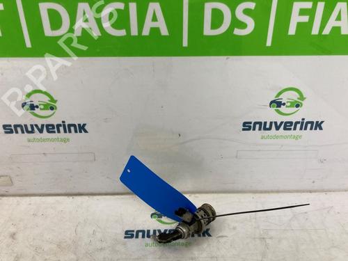 Used Injector PEUGEOT PARTNER Box Body/MPV 1.6 BlueHDi 100 (100 hp) 21195025