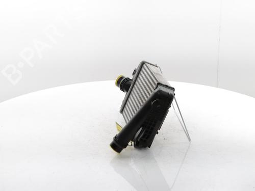 Intercooler RENAULT CLIO V (B7_) 1.0 TCe 90 (B7MT) | BP29426638M30 