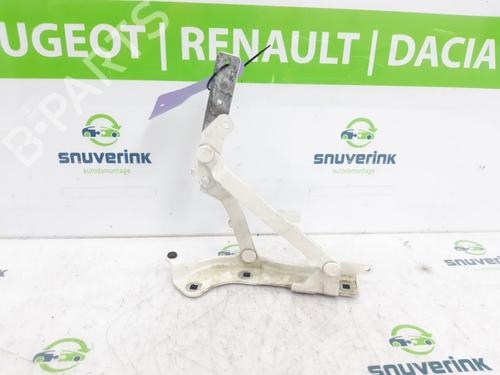 hingedoor-check-strap-fiat-500-c-312_-2009-23122980 main image