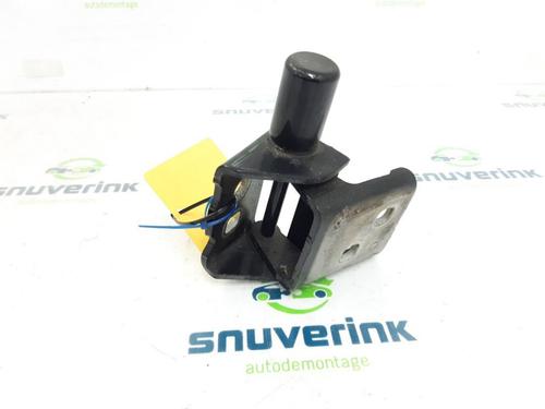 Used Hinge/Door check strap RENAULT ZOE (BFM_) ZOE (88 hp) 23122625