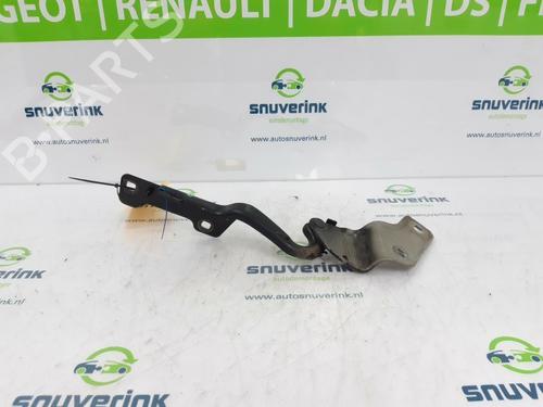 Used Hinge/Door check strap RENAULT CLIO III (BR0/1, CR0/1) 1.4 16V (98 hp) 13192960