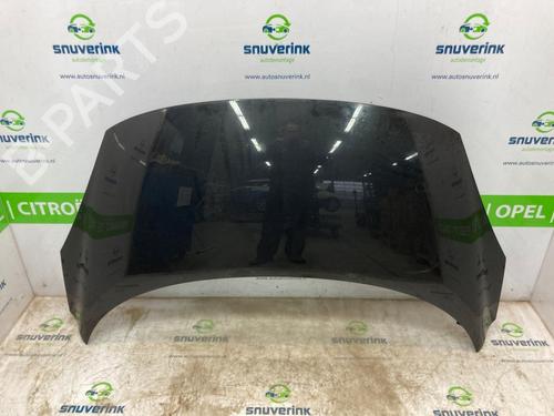 Used Hood RENAULT GRAND SCÉNIC III (JZ0/1_) 1.6 16V (JZ0U) (109 hp) 21599938