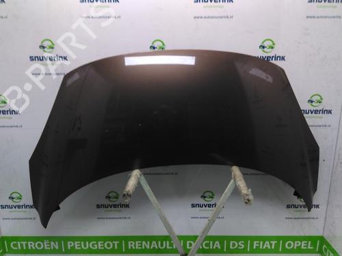 Used Hood RENAULT GRAND SCÉNIC III (JZ0/1_) 1.4 16V (JZ0F) (131 hp) 12551315