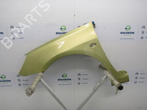 Used Left front fenders PEUGEOT 307 Break (3E) 1.6 16V (109 hp) 10791773