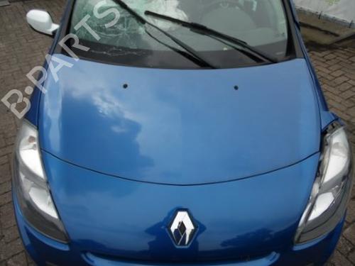 Used Hood RENAULT CLIO III (BR0/1, CR0/1) 1.2 16V (BR0P, CR0P) (101 hp) 10796828