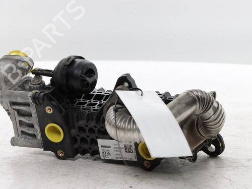Egr PEUGEOT EXPERT Van (V_) 1.5 BlueHDi 120 | BP34564070M69  - Image 8