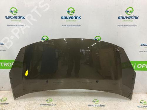 hood-citroen-c3-ii-sc_-16-hdi-7901r1-2009-22963461 main image