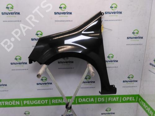 Used Left front fenders RENAULT MODUS / GRAND MODUS (F/JP0_) 1.4 (JP01, JP0J) (98 hp) 11970004