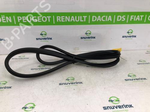 Rubber door seal RENAULT ARKANA I (LCM_, LDN_) 1.3 TCe 160 (LDN1) | BP20214106C142 
