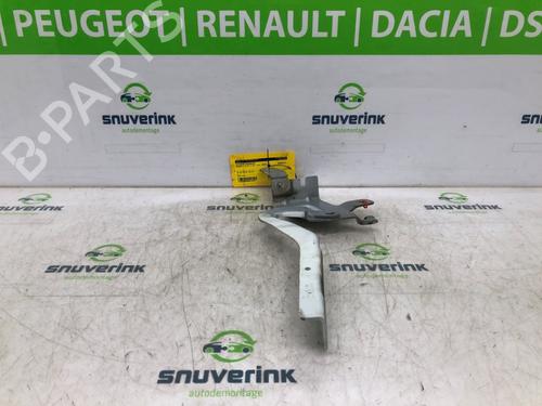 Hinge/Door check strap RENAULT CLIO IV (BH_) 0.9 TCe 90 (BHNF, BHMA, BHMH, BHJK, BHJR) | BP16490911C146 