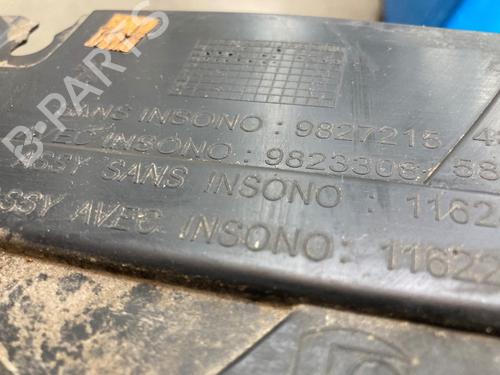 Wheel arch PEUGEOT 208 II (UB_, UP_, UW_, UJ_) e-208 | BP25776570C56