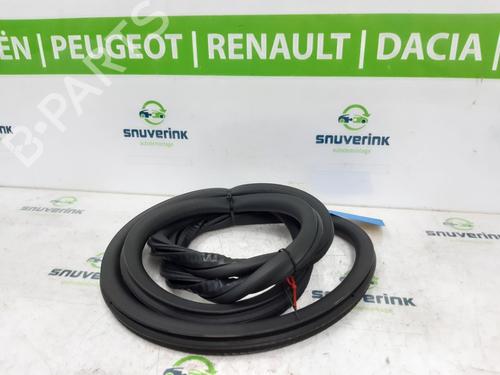 Used Rubber door seal PEUGEOT 208 II (UB_, UP_, UW_, UJ_) e-208 (136 hp) 19148319