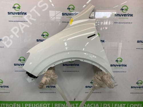 Used Left front fenders RENAULT KADJAR (HA_, HL_) 1.3 TCe 160 (HLNC) (160 hp) 20158257