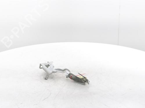 Hinge/Door check strap RENAULT TRAFIC III Van (FG_) 2.0 dCi 120 (FGMN) | BP29426849C146 
