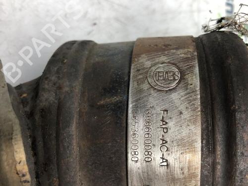 Catalyst FIAT DUCATO Van (250_) 150 Multijet 2,3 D | BP24943819M10 