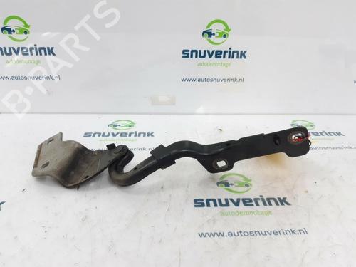 Hinge/Door check strap RENAULT CLIO III (BR0/1, CR0/1) 1.4 16V | BP13192961C146 