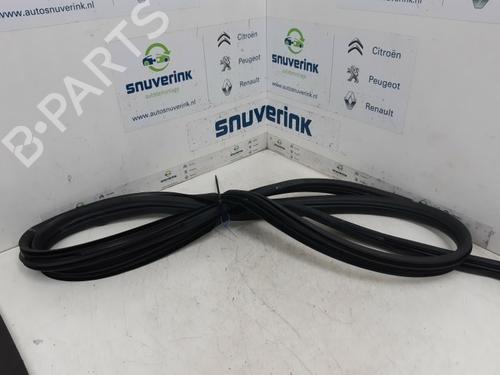 Used Rubber door seal RENAULT SCÉNIC II (JM0/1_) 1.4 (JM0B, JM0H, JM1A) (98 hp) 13192017