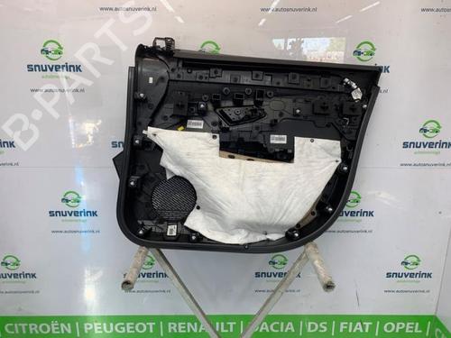 Front left panel RENAULT SCENIC E-TECH PHASE I EV60 | BP40584139C58 - Image 3