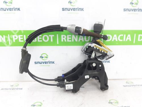 Gearknop Gearknop 24160197 24160197
