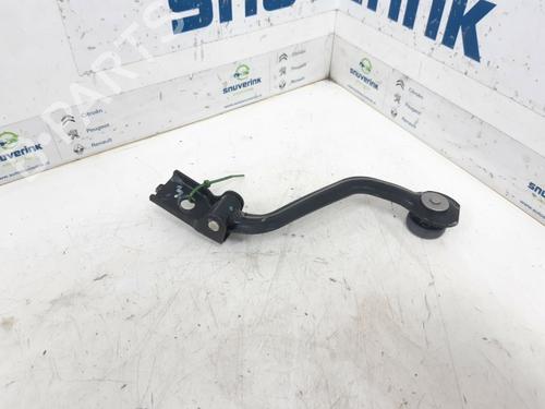 Used Hinge/Door check strap PEUGEOT 807 (EB_) 2.2 HDi (128 hp) 13192219