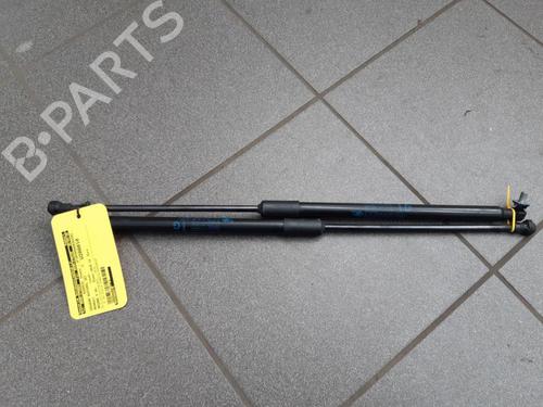 Used Tailgate lift support RENAULT MEGANE IV Grandtour (K9A/M/N_) 1.5 dCi 110 (110 hp) 24163413