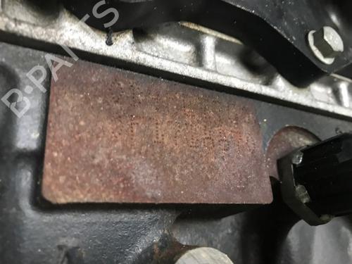 Engine RENAULT TWINGO II (CN0_) 1.2 16V (CN04, CN0B) | BP27971040M1 
