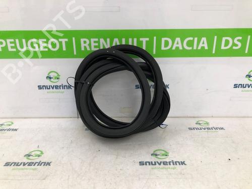 Rubber door seal PEUGEOT 208 II (UB_, UP_, UW_, UJ_) 1.2 PureTech 100 | BP21193715C142 