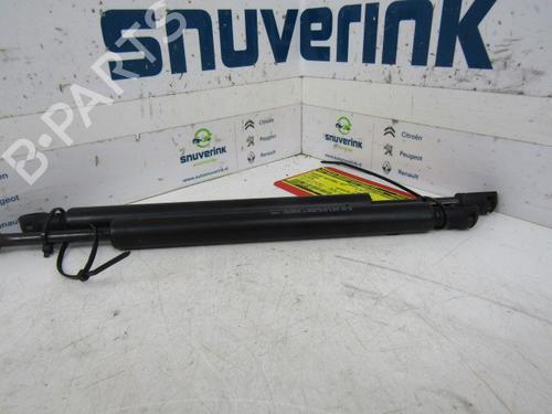 Used Tailgate lift support CITROËN C3 Pluriel (HB_) 1.4 (73 hp) 21109871
